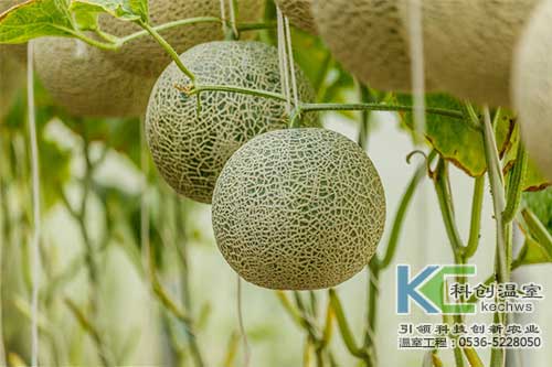 在江蘇某污水處理廠離心機上的應用